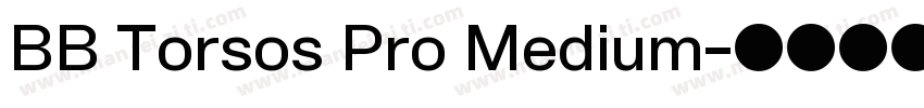 BB Torsos Pro Medium字体转换